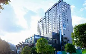 郴州市桂东县玲珑王大酒店成功案例照片（原站 www.geegao.com 成功案例页配图）